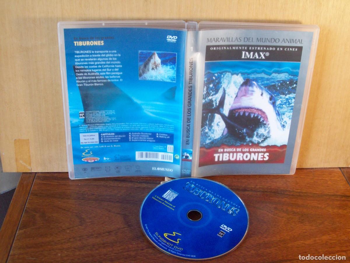 Cinema: DOCUMENTALES IMAX - EN BUSCA DE LOS GRANDES TIBURONES - DVD