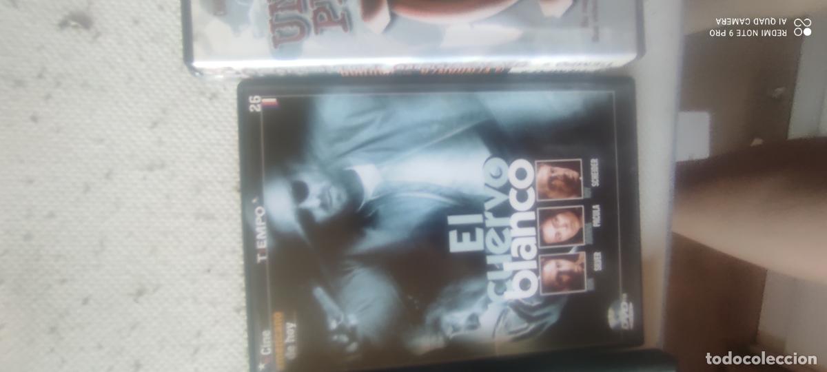 Cine: El cuervo blanco. Pel&iacute;cula / DVD.