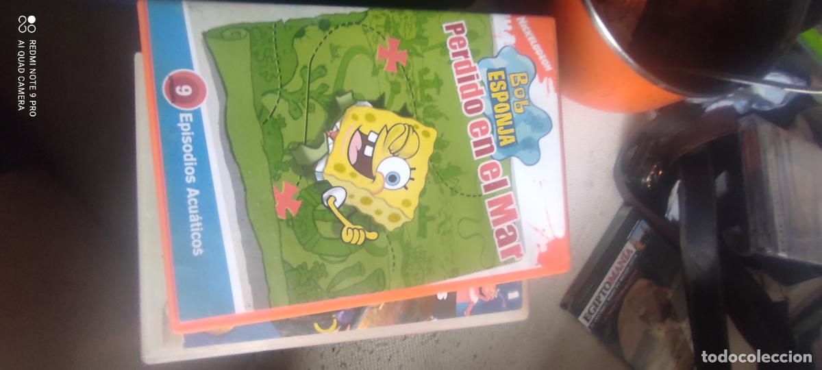 Cine: bob Esponja. Pel&iacute;cula/ DVD.