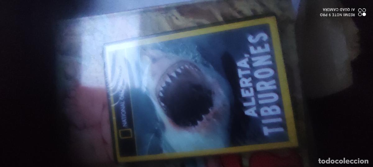 Cine: Alerta Tiburones. Documentales National Geographic. Pel&iacute;cula/ DVD.