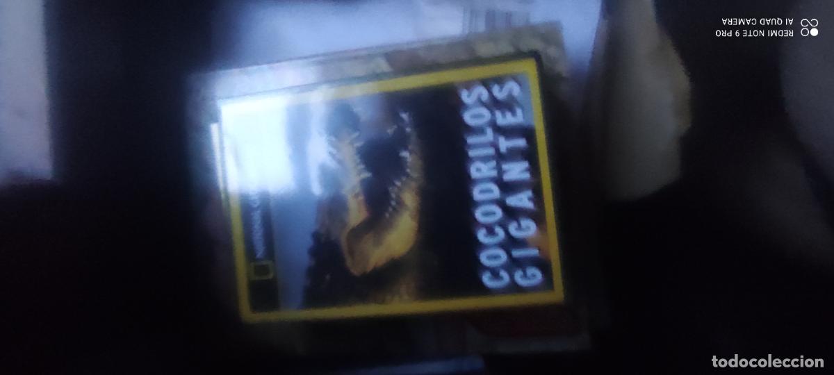 Cinema: Cocodrilos gigantes. Documentales National Geographic. Pel&iacute;cula/ DVD.