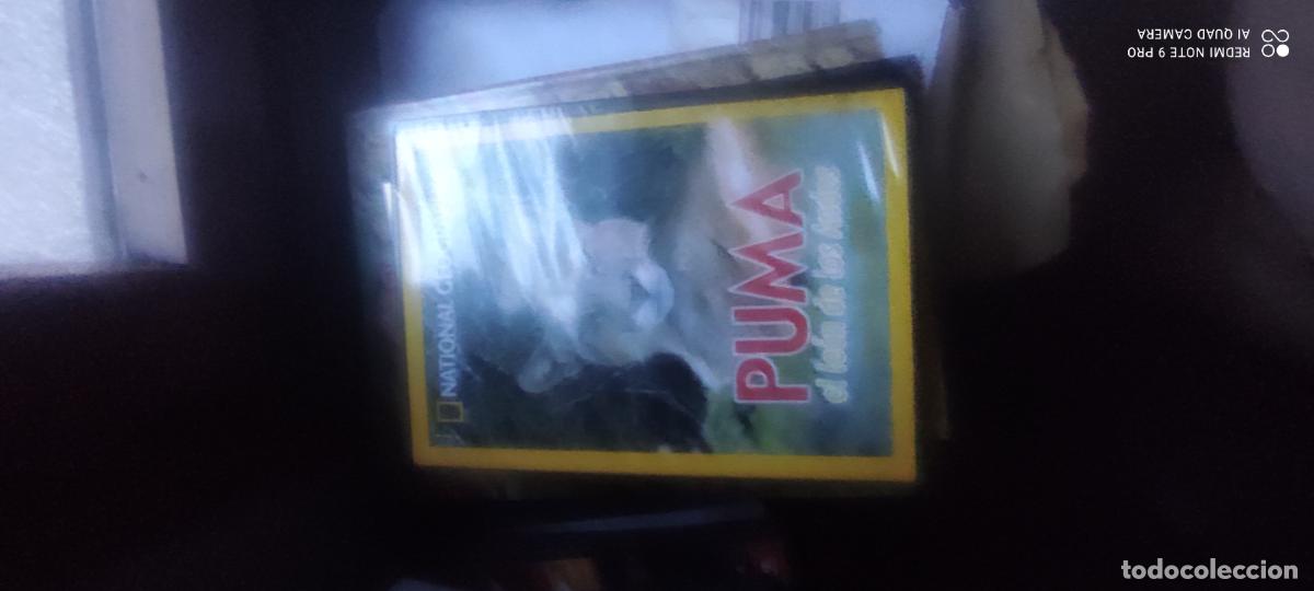Cinema: Puma. Documentales National Geographic. Pel&iacute;cula/ DVD.
