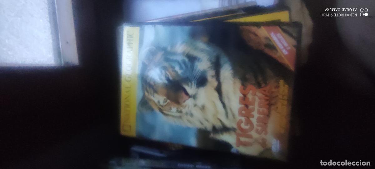 Cinema: Tigres de Siberia. Documentales National Geographic. Pel&iacute;cula/ DVD.