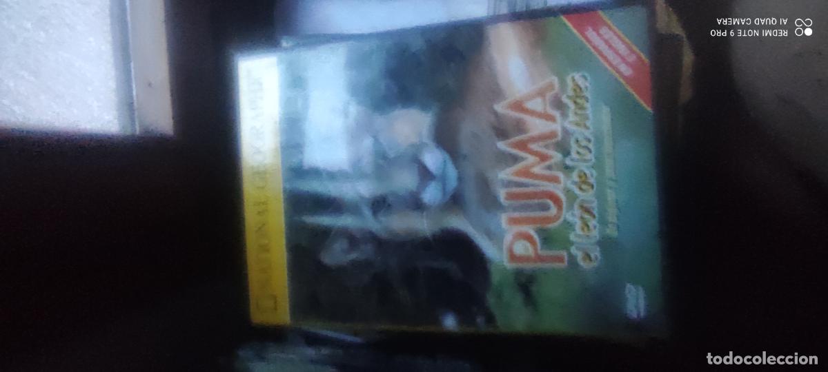 Cinema: Puma, el le&oacute;n de los Andes. Documentales National Geographic. Pel&iacute;cula/ DVD.