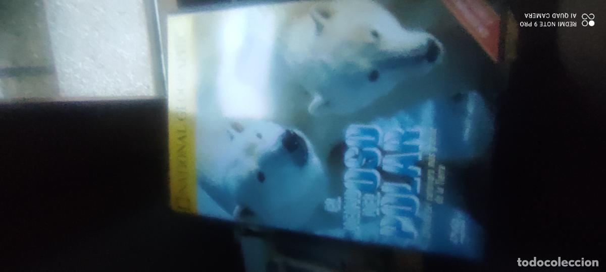 Cinema: El reino del oso polar. Documentales National Geographic. Pel&iacute;cula/ DVD.