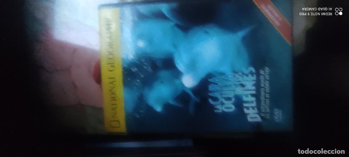 Cinema: la cara oculta de los delfines. Documentales National Geographic. Pel&iacute;cula/ DVD.