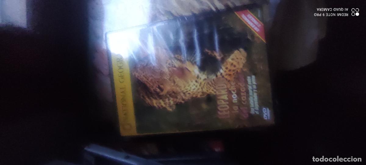 Cinema: Leopardo, la noche del cazador. Documentales National Geographic. Pel&iacute;cula/ DVD.