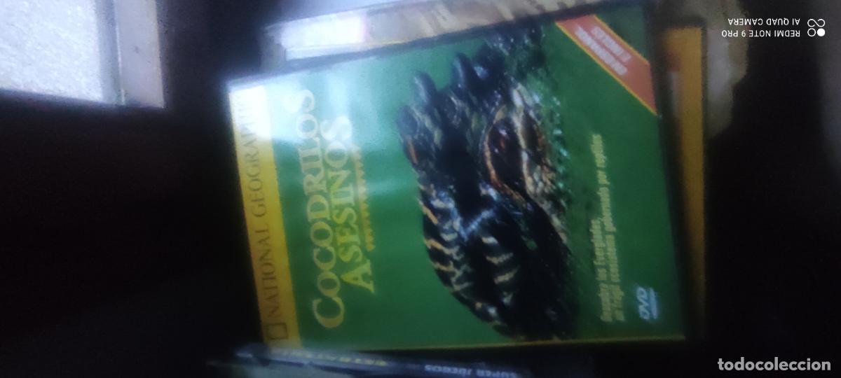 Cinema: Cocodrilos asesinos. Documentales National Geographic. Pel&iacute;cula/ DVD.
