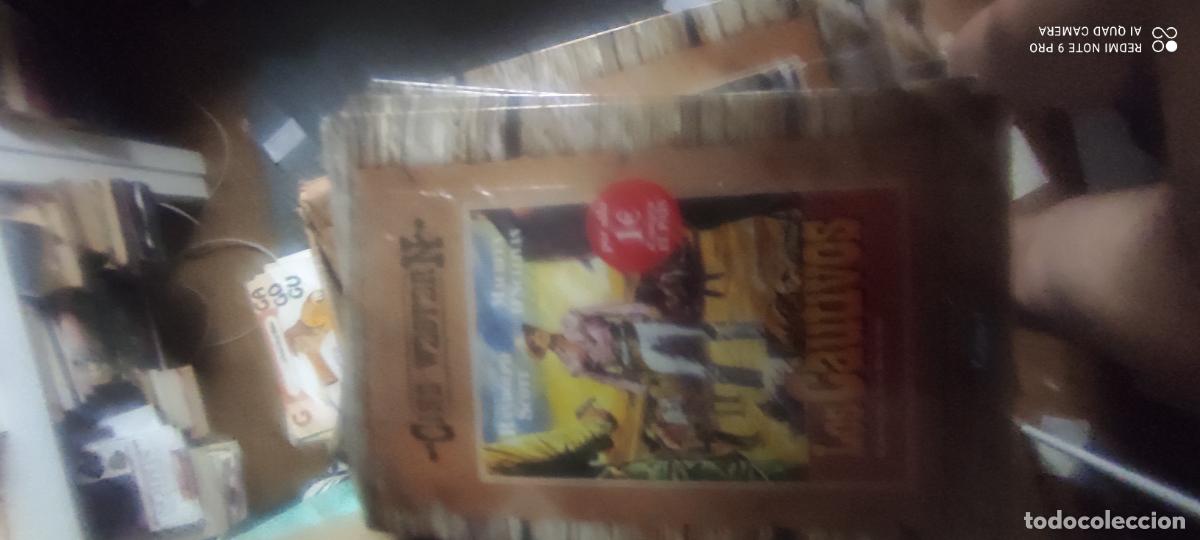 Cine: Los cautivos. Western. Pel&iacute;cula/ DVD.