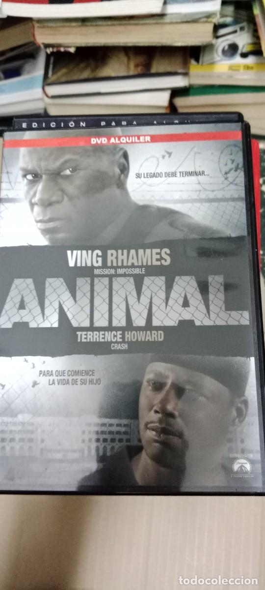 Cine: ANIMAL DVD CINE G-64