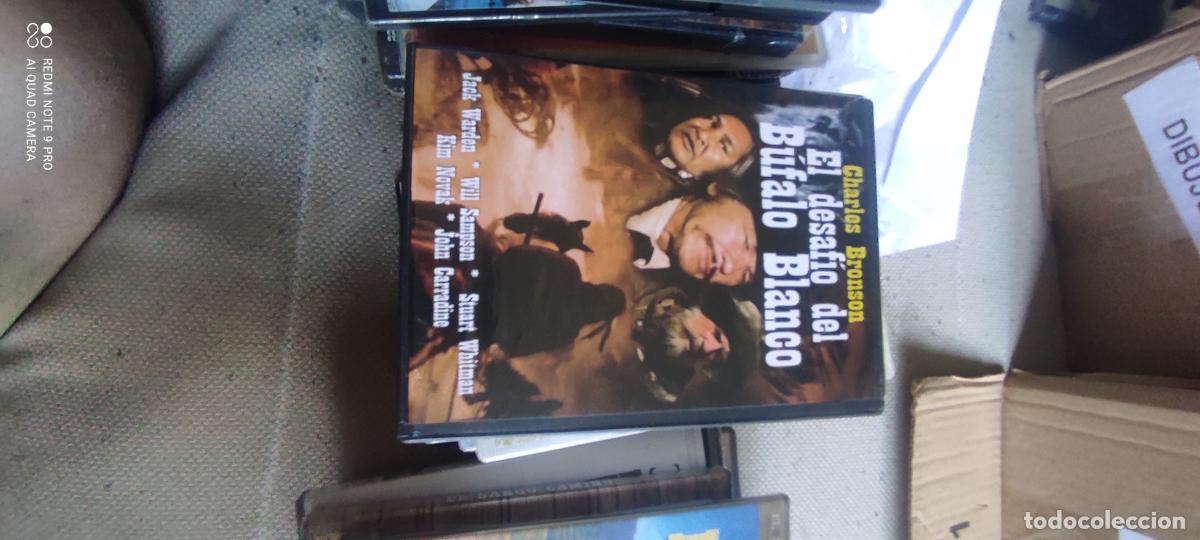 Cine: El desaf&iacute;o del B&uacute;falo Blanco. Pel&iacute;cula / DVD.
