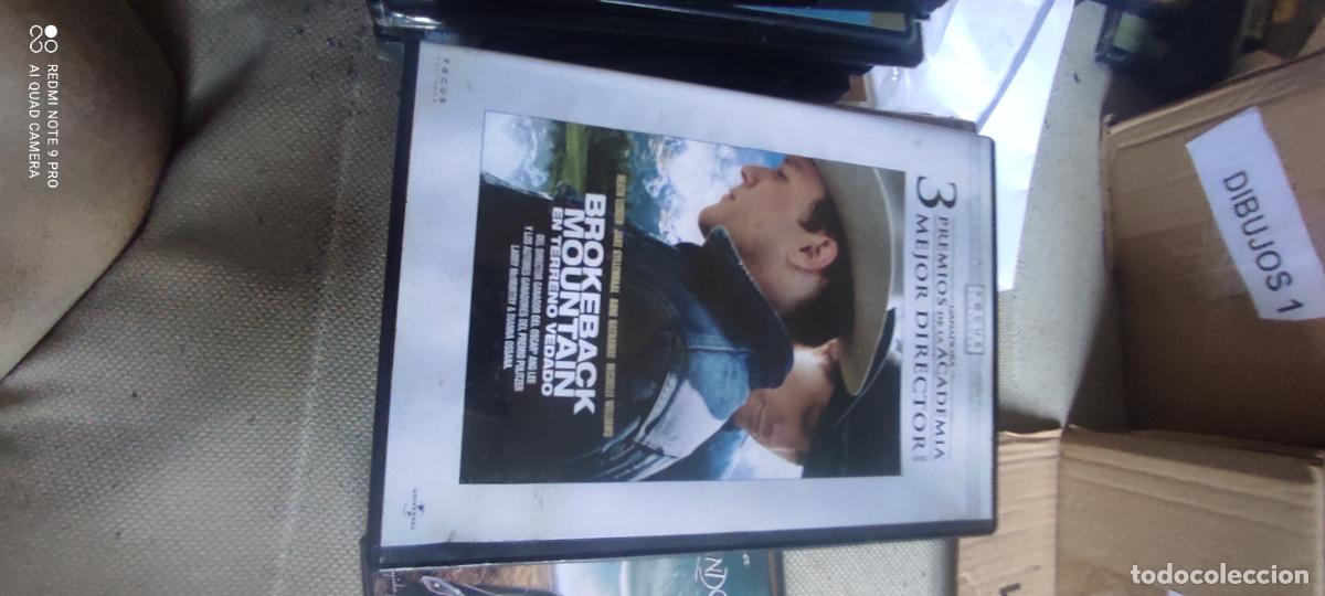 Cine: Brokebake Mountain. Pel&iacute;cula / DVD.
