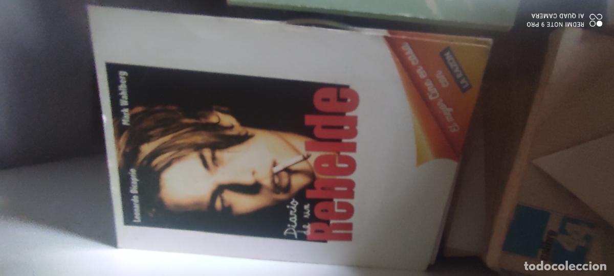 Cine: Rebelde. Pel&iacute;cula / DVD.