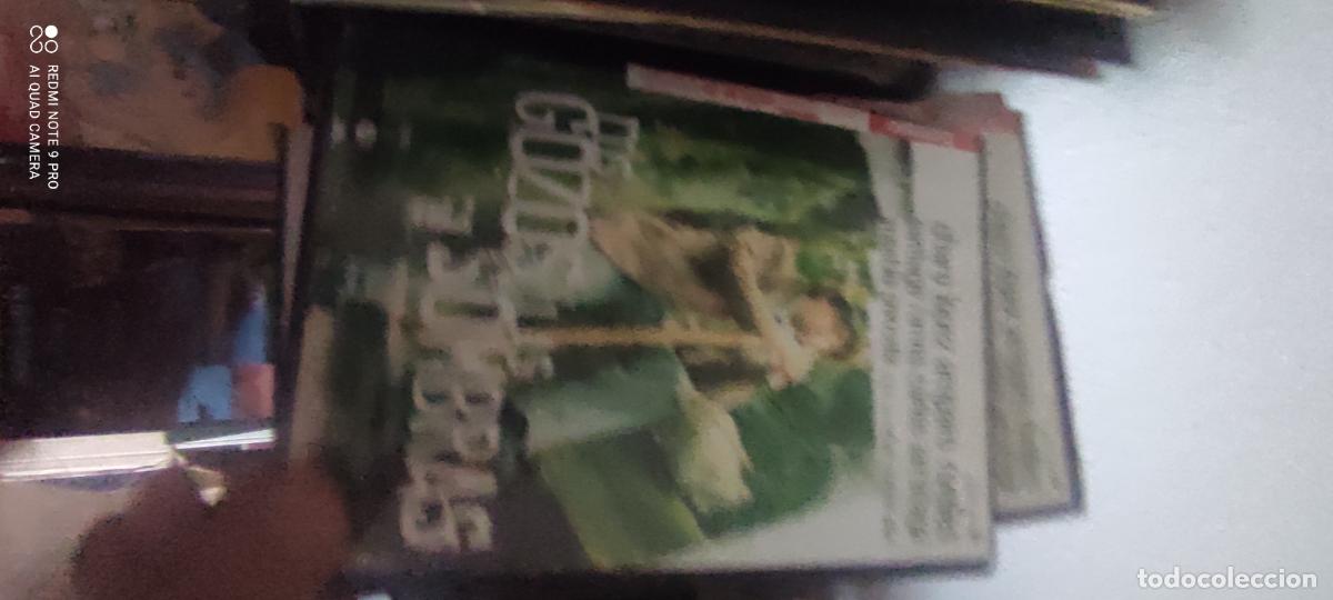 Cine: Los gozos y las sombras. Pel&iacute;cula / DVD.