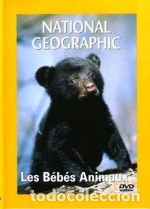 Cine: National Geographic: Les b&eacute;b&eacute;s animaux- 3259130216639
