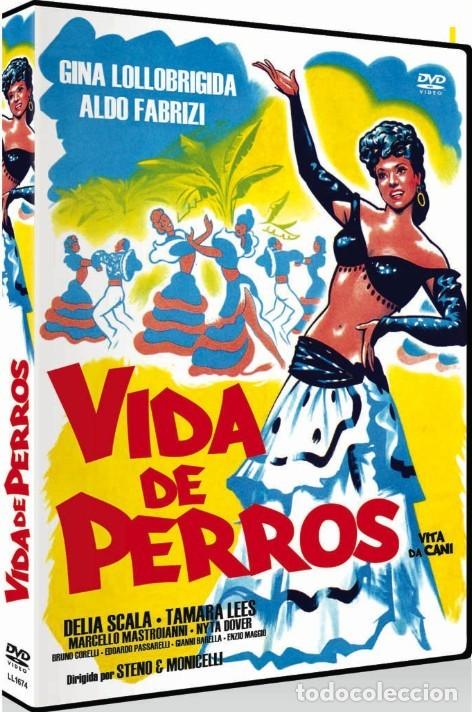 Cine: Vida de Perros DVD Como nuevo