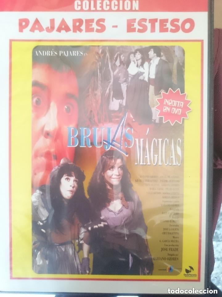 Cine: DVD - LAS BRUJAS MAGICAS -- ANDRES PAJARES