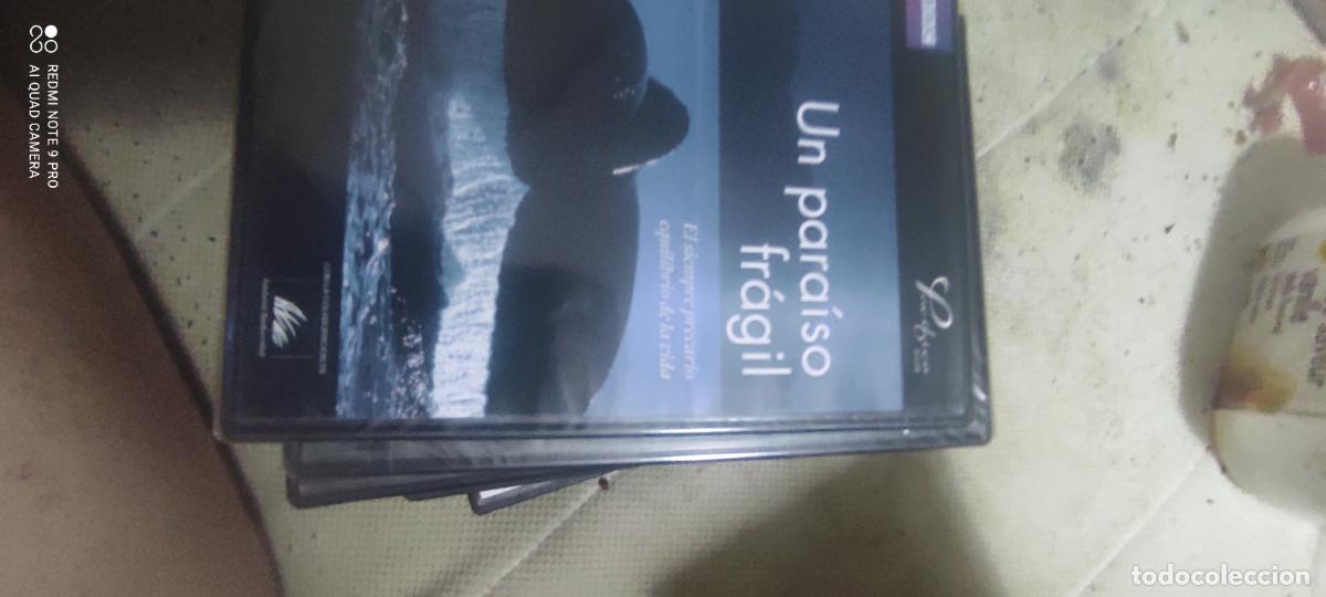 Cine: Un paraiso fr&aacute;gil. Pel&iacute;cula / DVD.