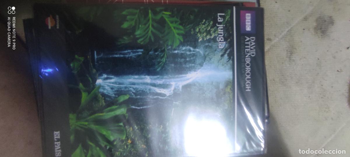 Cine: D. Attenborough. La jungla. Pel&iacute;cula / DVD.