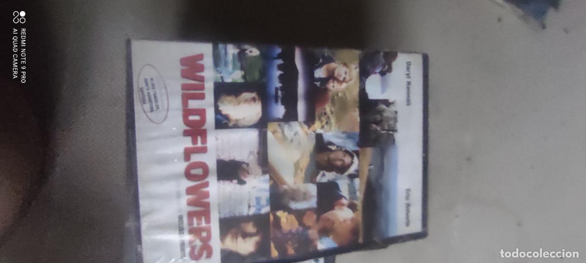 Cinema: Wildflowers. Pel&iacute;cula / DVD.
