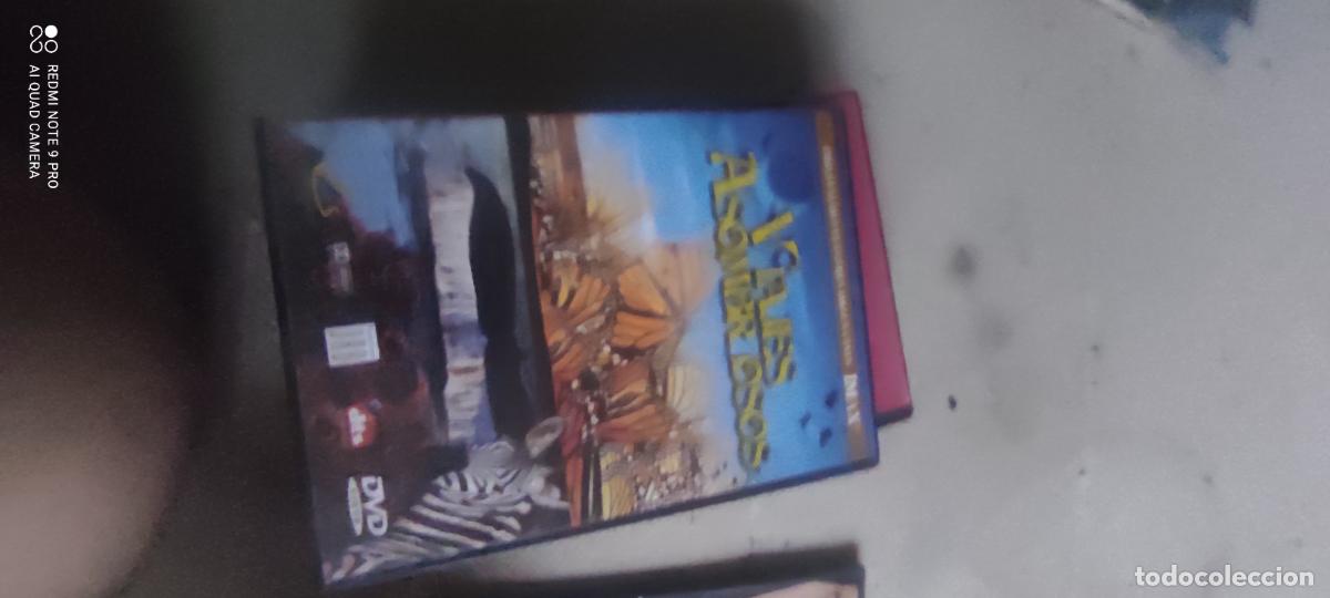 Cinema: Viajes asombrosos. Pel&iacute;cula / DVD.
