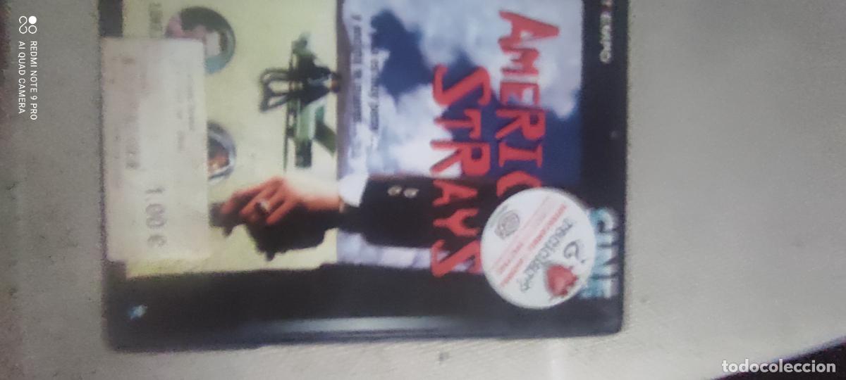 Cine: American Strays. Pel&iacute;cula / DVD.