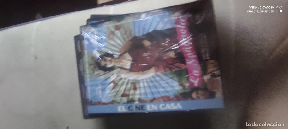 Cine: La spagnola. Pel&iacute;cula / DVD.