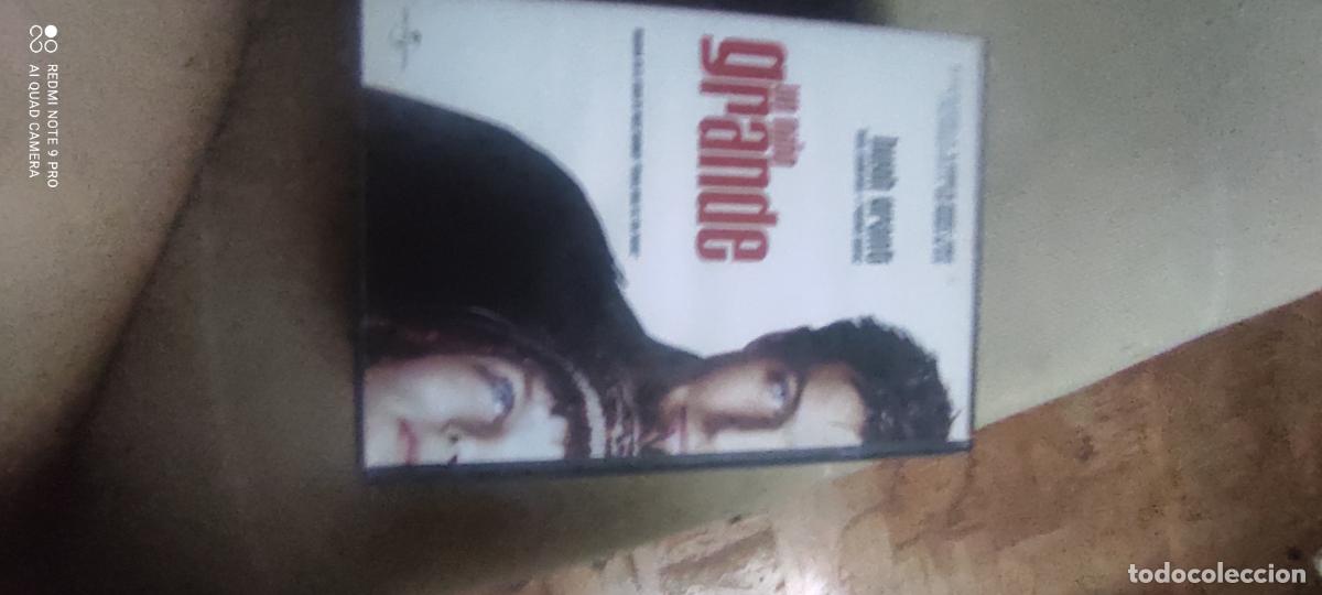 Cine: Un ni&ntilde;o grande. Pel&iacute;cula/ DVD.