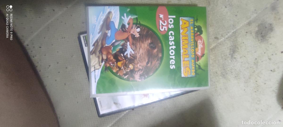 Cine: Los castores. Pel&iacute;cula / DVD.