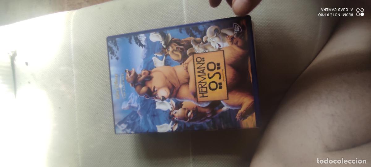 Cinema: Hermano Oso. Pel&iacute;cula / DVD.