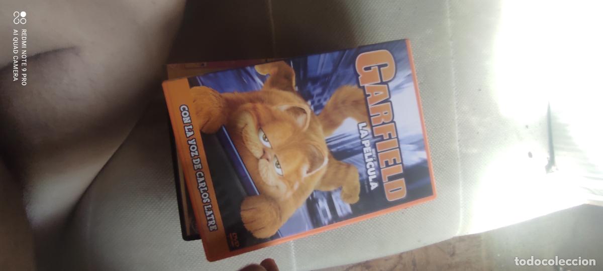 Cinema: Garfield. Pel&iacute;cula / DVD.