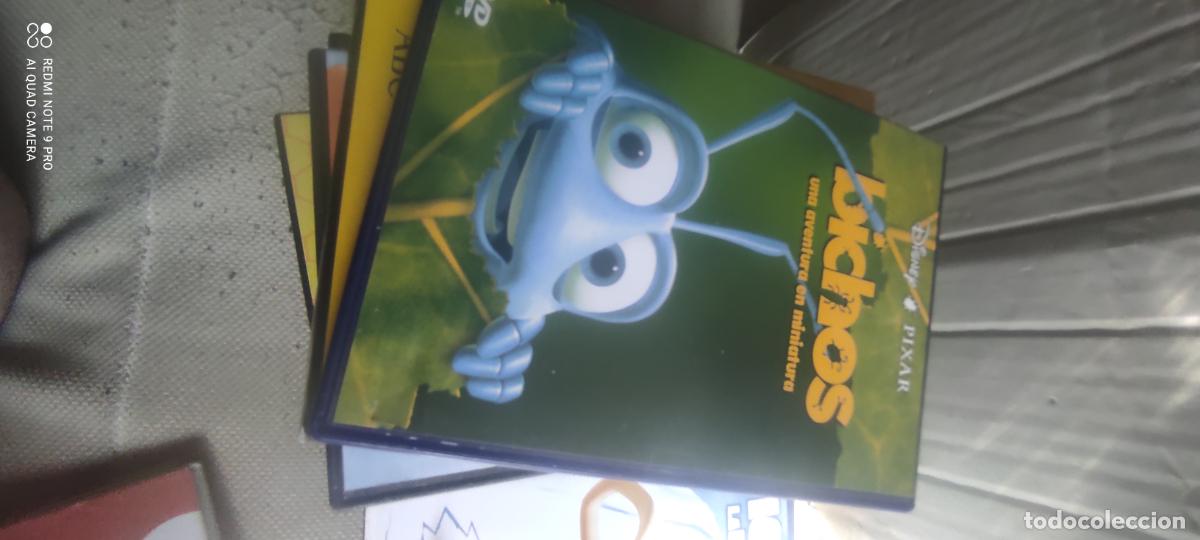Cine: Bichos. Pel&iacute;cula / DVD.