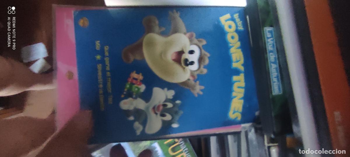 Cine: Looney Tunes. Pel&iacute;cula / DVD.