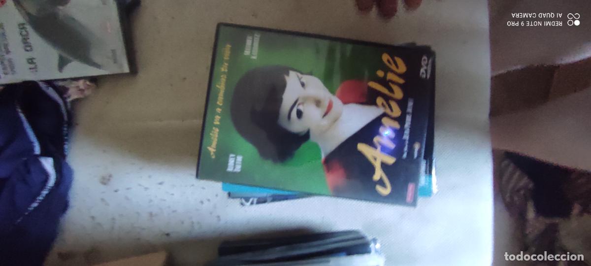 Cine: Amelie. Pel&iacute;cula / DVD.