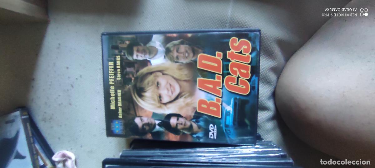Cin&eacute;ma: BAD cats. Pel&iacute;cula / DVD.