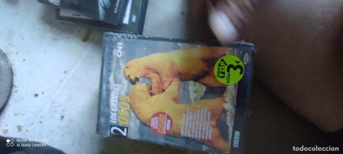Cine: 2 Los grandes osos. Pel&iacute;cula / DVD.