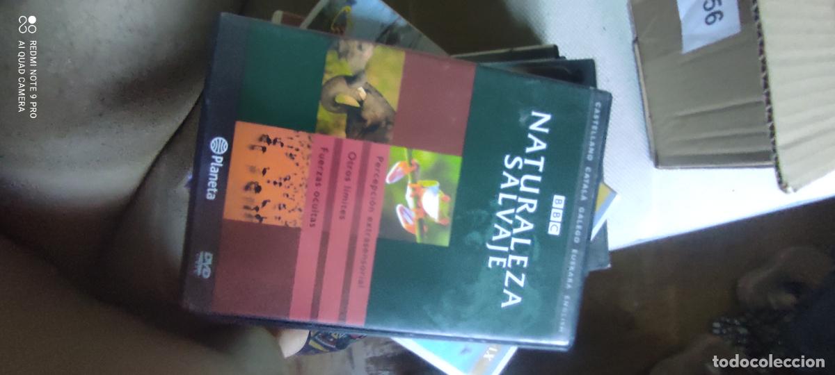 Cine: Naturaleza salvaje. Pel&iacute;cula / DVD.