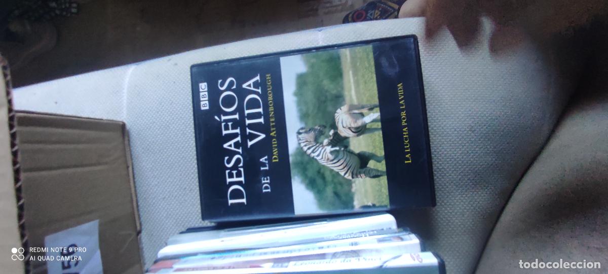 Cine: Desaf&iacute;os de la vida. Pel&iacute;cula / DVD.