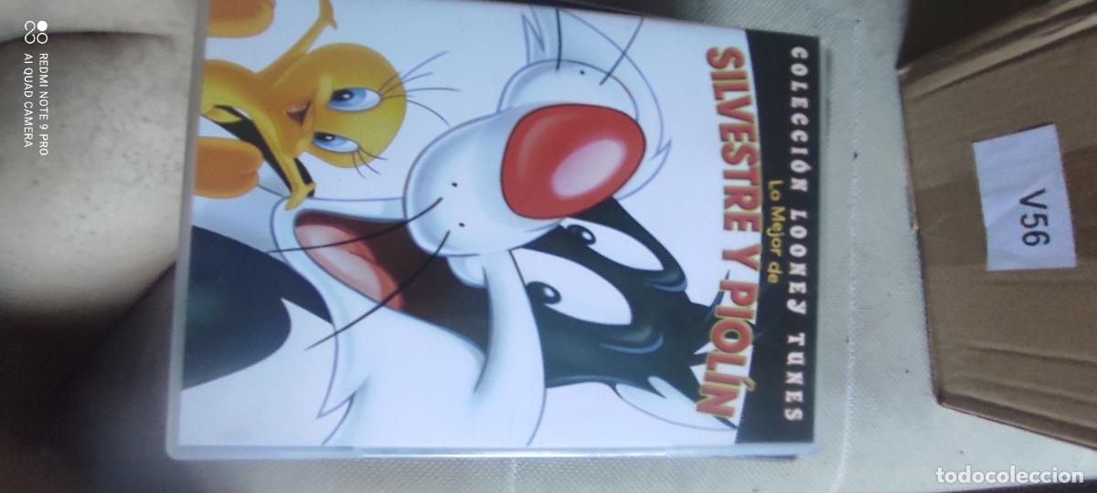 Cine: silvestre y piol&iacute;n. Pel&iacute;cula / DVD.