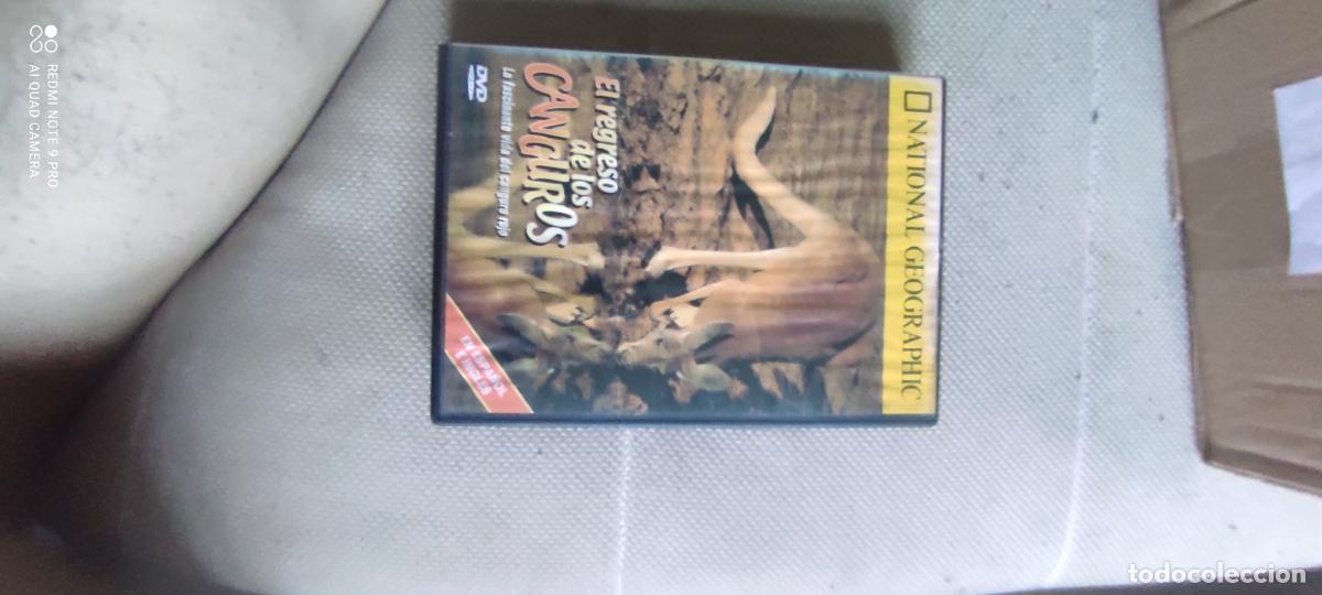 Cine: El regreso de los canguros. Pel&iacute;cula / DVD.