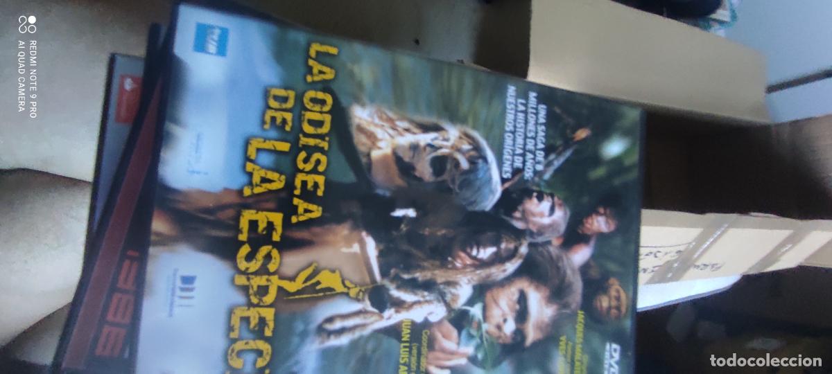 Cine: La odisea de la especie. Pel&iacute;cula / DVD.