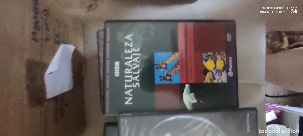 Cine: Naturaleza salvaje. Pel&iacute;cula / DVD.