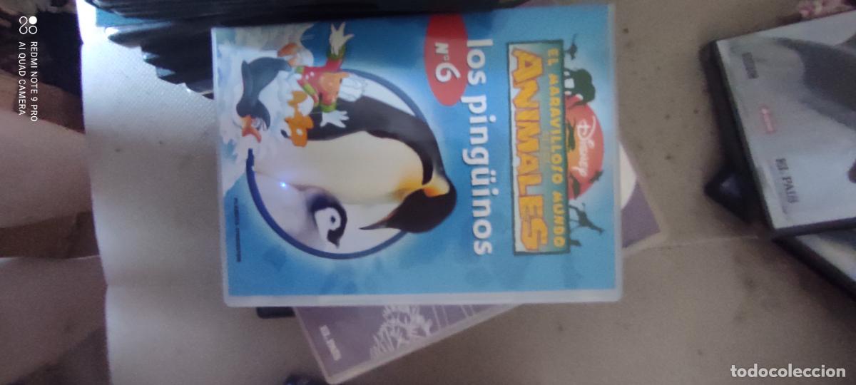 Cine: N&ordm; 6 Los pinguinos. Pel&iacute;cula / DVD.