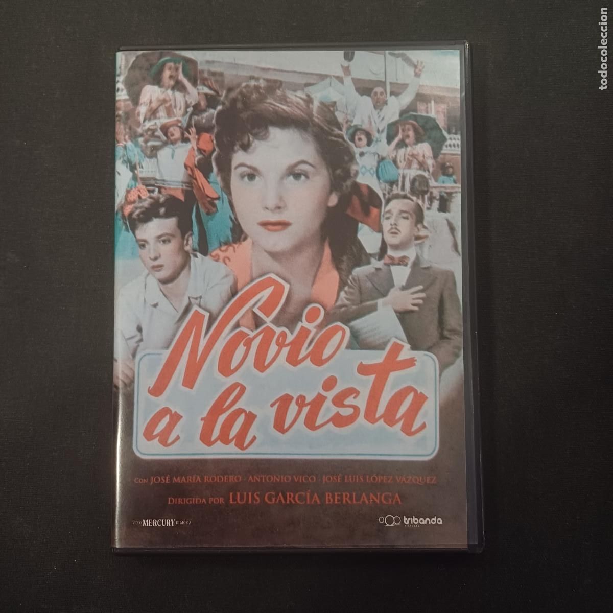 Cine: NOVIO A LA VISTA/LUIS GARCIA BERLANGA/DVD.