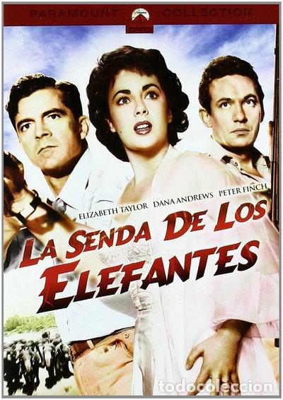 Cine: La senda de los elefantes- 8414906408723