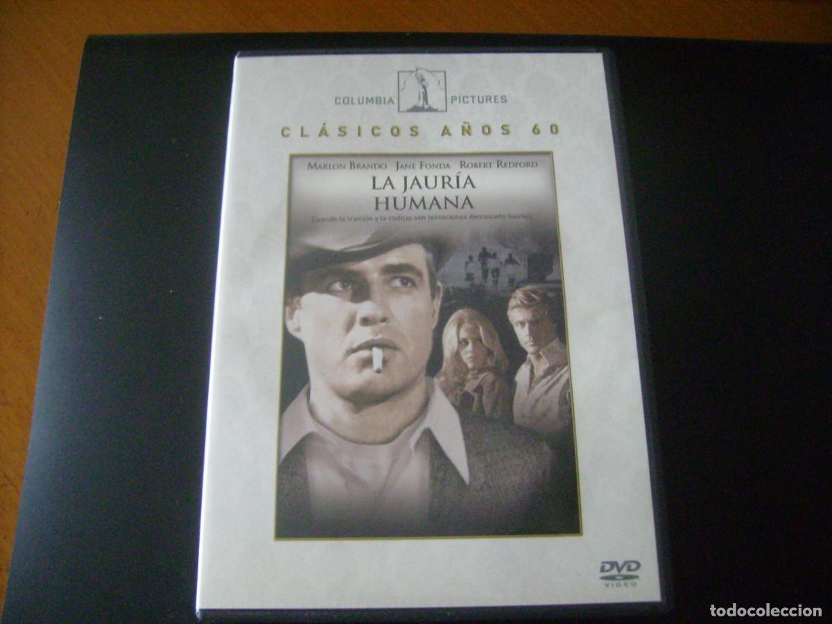 Cine: LA JAURIA HUMANA - MARLON BRANDO / OBRA MAESTRA 1966