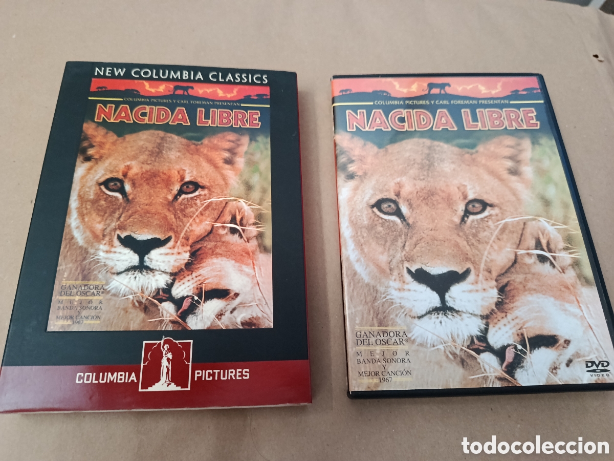 Cine: Dvd. Nacida Libre. Colombia Pictures.