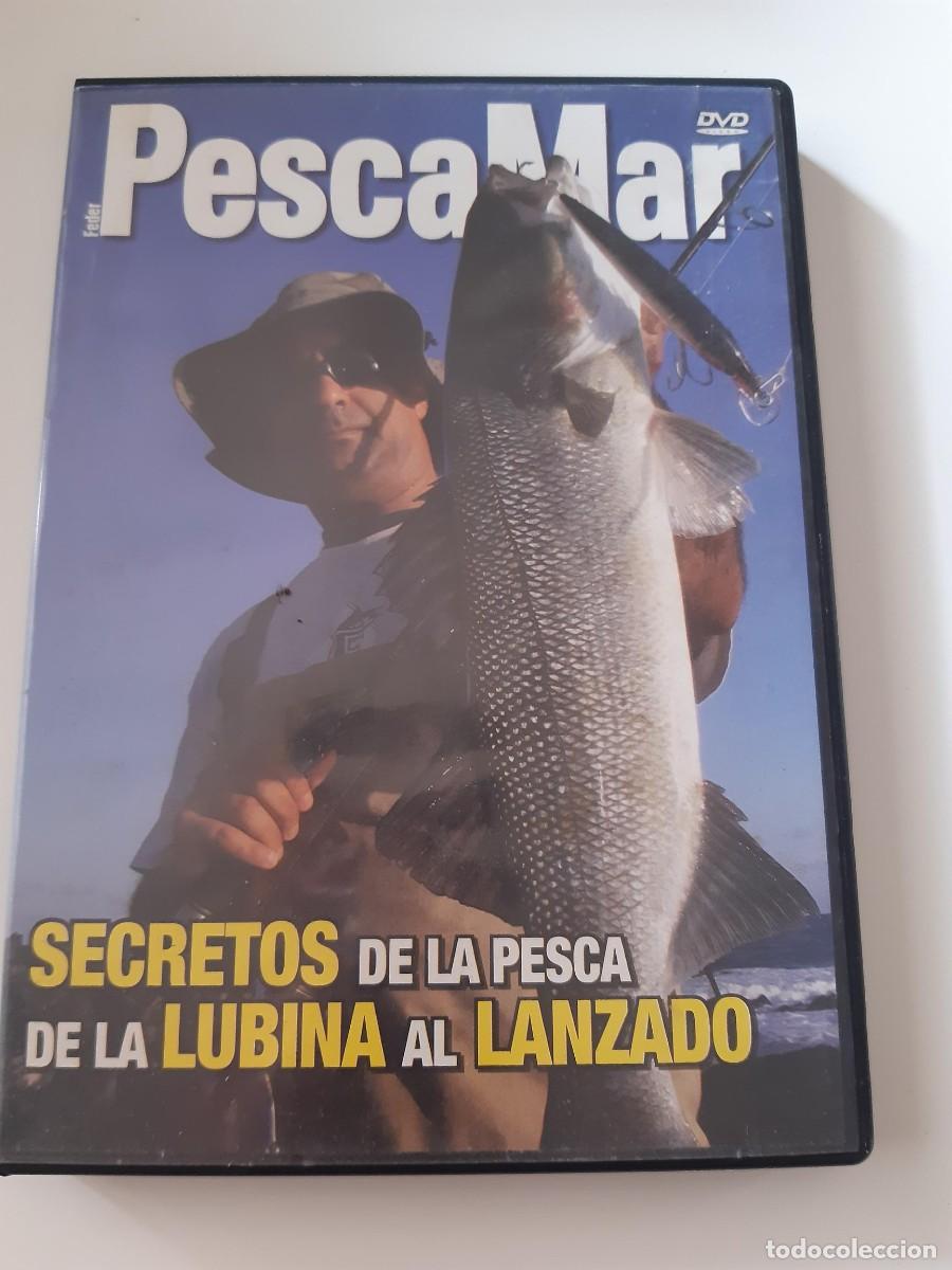 Cine: Secretos de la pesca de la lubina al lanzado / PescaMar / DVD /