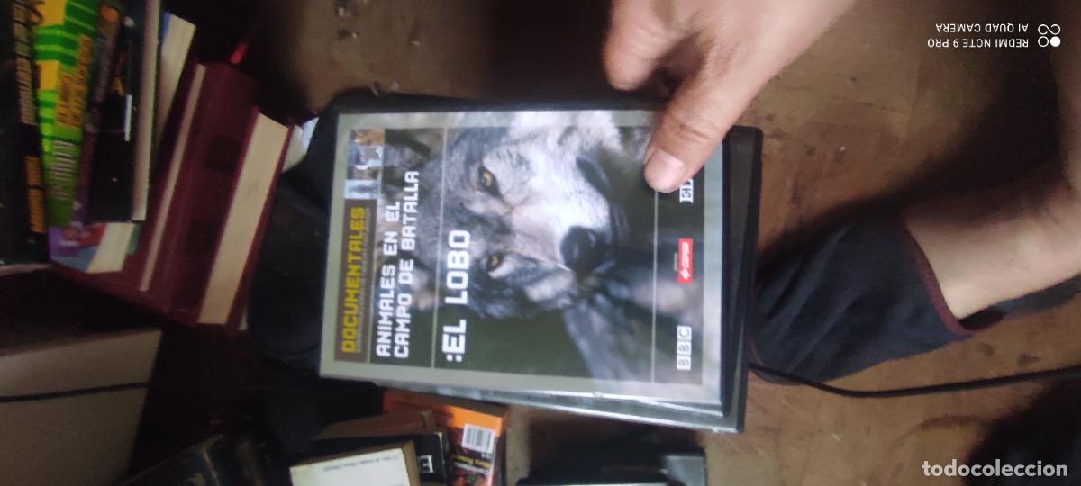 Cine: Animales en el campo de batalla. El lobo. Pel&iacute;cula/ DVD