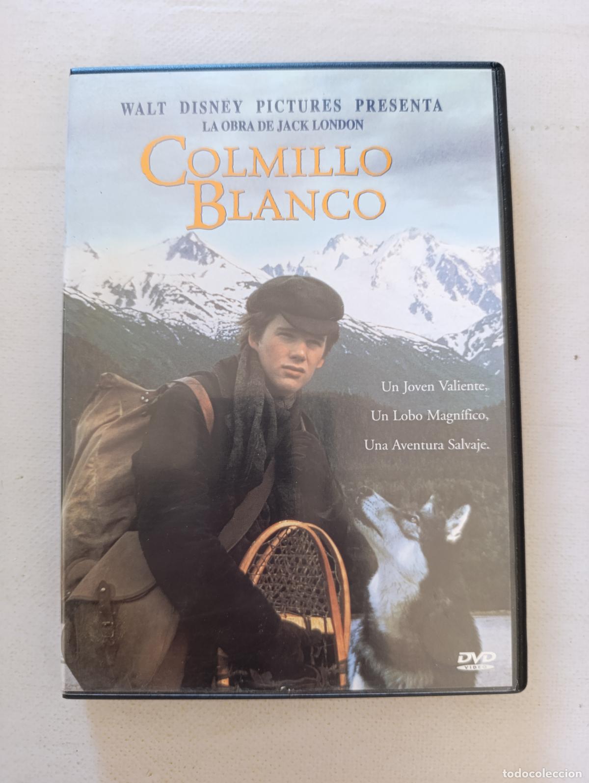 Cine: DVD COLMILLO BLANCO - WALT DISNEY - JACK LONDON (280)